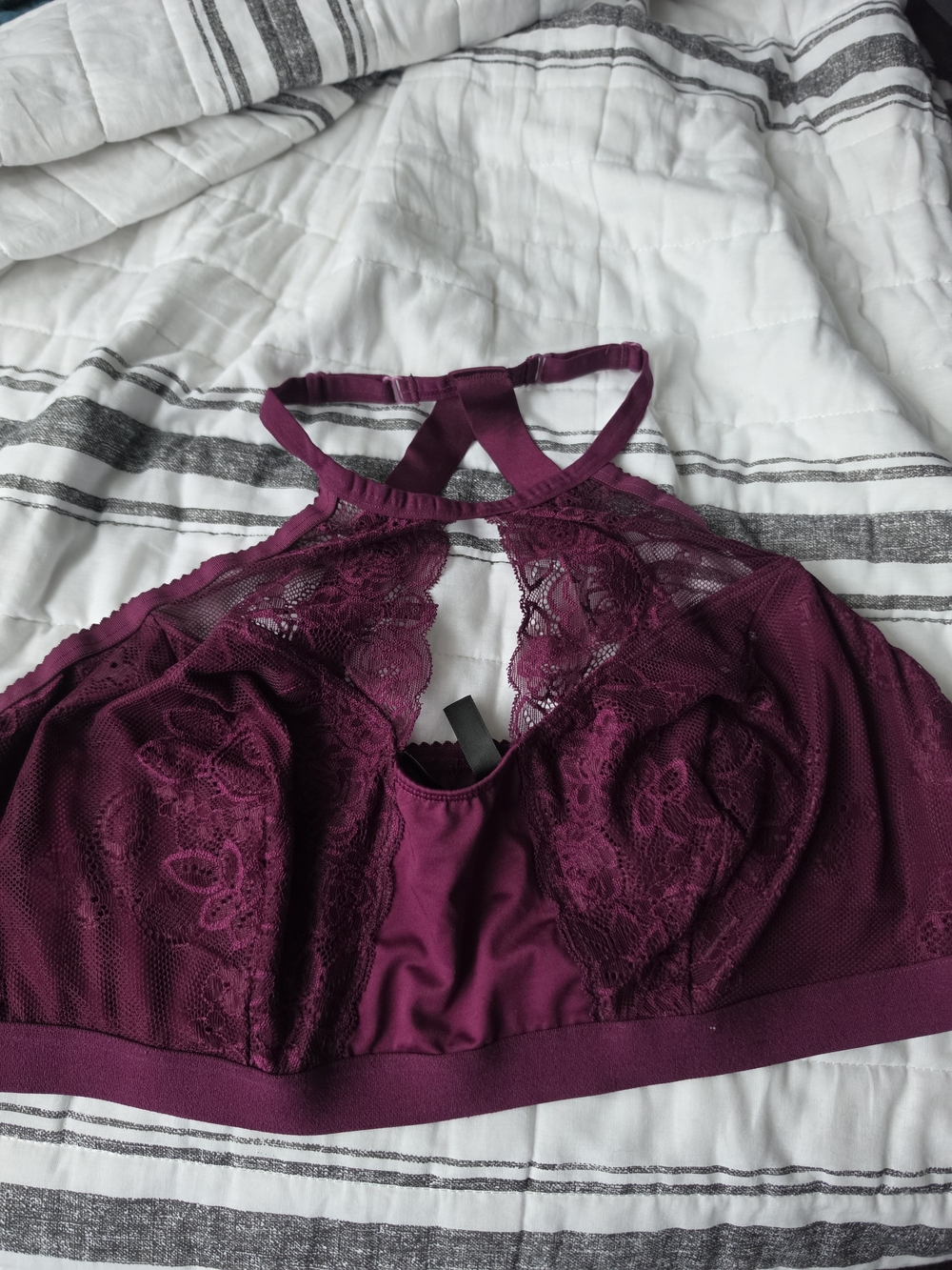 Women's Torrid Lace Halter Bralette - Plum. Size 2.